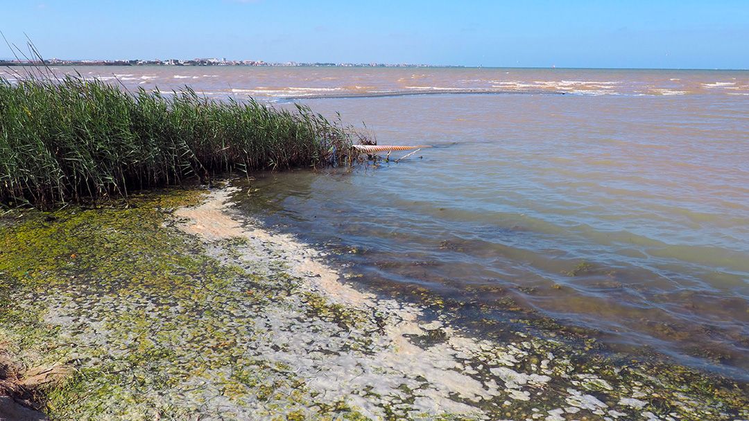 Guerra abierta en el Mar Menor por las limitaciones al regadío