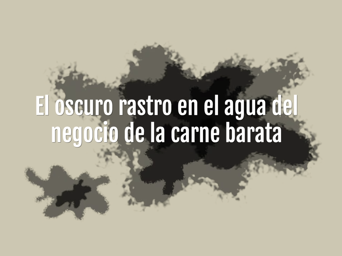 &quot;El oscuro rastro en el agua del negocio de la carne barata&quot; gana el premio API de Periodismo de Investigación 2023 al mejor trabajo de Datos